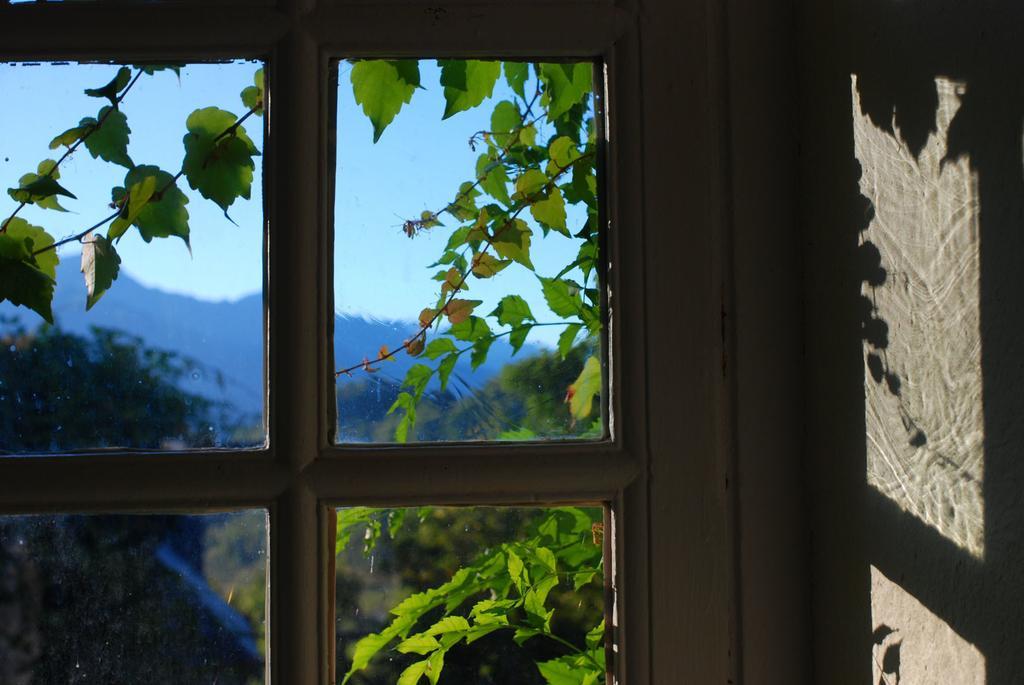 Le Belvedere Villa Salles  Room photo